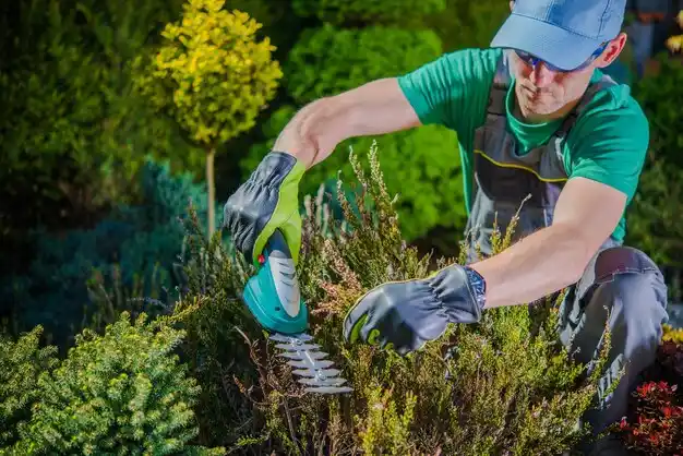 landscaping services Oswego